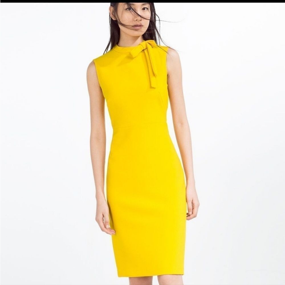 Zara - Picture 16 of 17